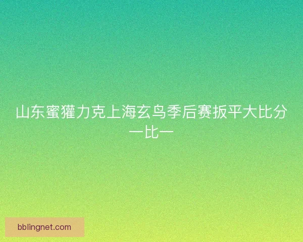 山东蜜獾力克上海玄鸟季后赛扳平大比分一比一